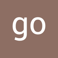 go Din (@dingoobro) 's Twitter Profile