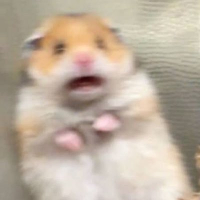 wibuestetiik's profile picture. -