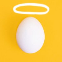 Good Egg Productions (@goodegg000) 's Twitter Profile Photo Good Egg Productions (@goodegg000) 's Twitter Profile Photo