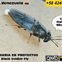 H. O. Venezuela (@hovenezuel41937) 's Twitter Profile Photo