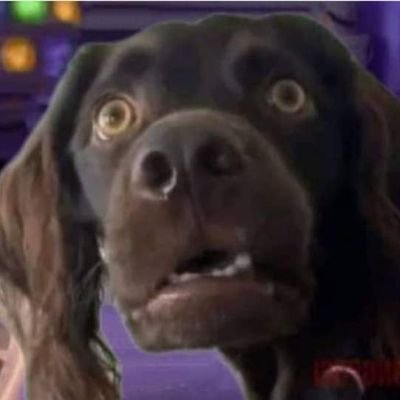 nineteeslvv's profile picture. from the river to the sea 🍉