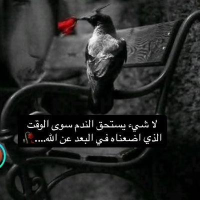 BAlrwqy25408's profile picture. خطابه زواج معلن ومسيار