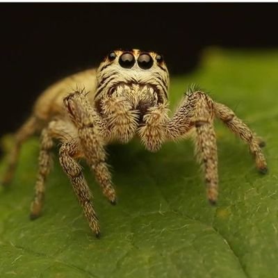 john_mckee40799's profile picture. cycle mechanic