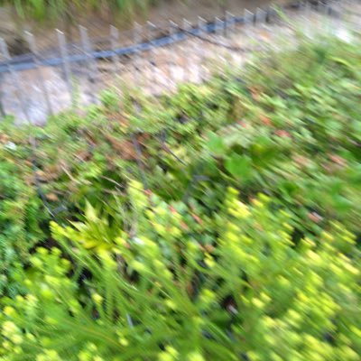 adadad234ad's profile picture. 無言フォロー失礼します🙇 腐、夢雑食です 愚痴が多めなので流してください🙇 成人済み（25歳）、チケット交換とかにつかったりもしてます。2次元雑食です。地雷、無理だなって思ったものは避けるので大丈夫です。めんどくさい人はミュート、ブロックします