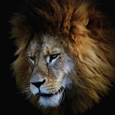 TaiulaU76021's profile picture. X