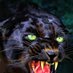 ashok kumar (@ashokkumar34085) Twitter profile photo ashok kumar (@ashokkumar34085) Twitter profile photo