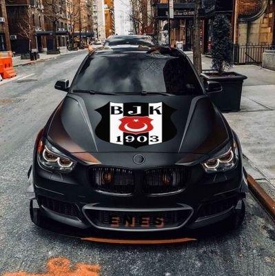 AlicanCurk74813's profile picture. 