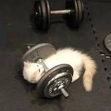 DawitSlz's profile picture. 