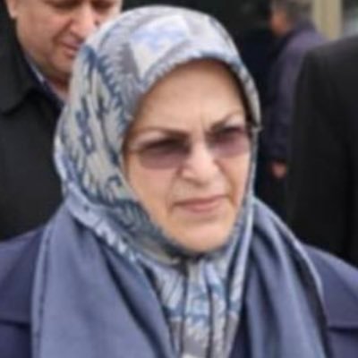 Azar Mansoori Profile