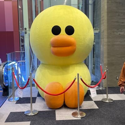 851xQSAqHRj3xLA's profile picture. 