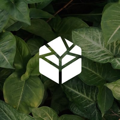 grupoliberamx's profile picture. Desarrolladora inmobiliaria comprometida con el medio ambiente y labores sociales.