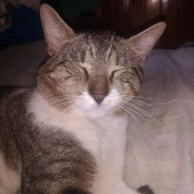 nicole113204's profile picture. Hola espero que tengas un buen día 😙

20 años/fem/