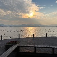 Alex (@aleksandargenov) 's Twitter Profile Photo