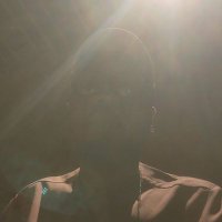 Max Avalon (@vvsbrainz) 's Twitter Profile
