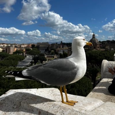 Ko se bori, taj može i izgubiti ali ko se ne bori, taj je već izgubio.