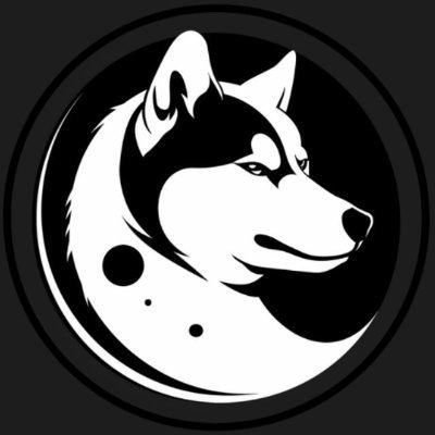 s_sapprentice's profile picture. Bittensor Mining and Decentralized Compute Marketplace | Don’t forget to bring a TAOwel