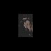 𝐈𝐍𝑩𝑳𝑨𝑪𝑲 . (@cruelstrained) Twitter profile photo 𝐈𝐍𝑩𝑳𝑨𝑪𝑲 . (@cruelstrained) Twitter profile photo