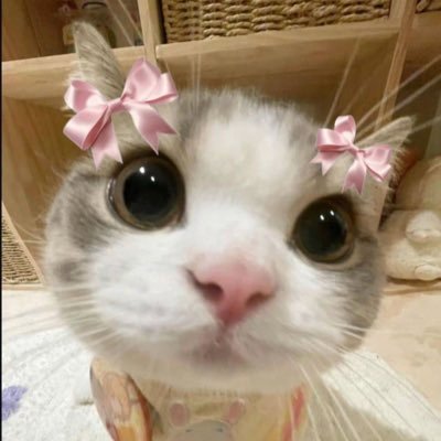 dek67+1 | วันนี้เก่งแล้ว แต่เก่งได้อีก! | 🤍🎀🧸🖌️💪🏻🫵🏻💘🫧