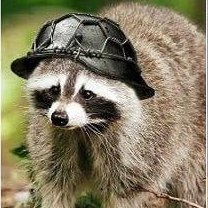 60% Slavic, 38% Germanic(don't ask what the 2% is), principled coomrag, obligate scavenger, amateur catch and release fisherman, cryptozoologist.