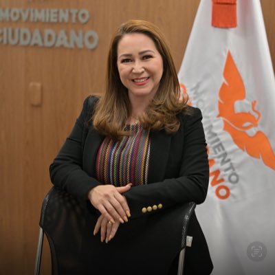 🇲🇽 Diputada Federal y Madre de familia. Mis causas son la niñez, la juventud, la economía familiar y el desarrollo económico de nuestro país. 🧡🍊