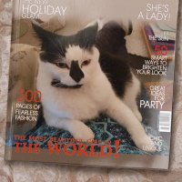 Mia ๐๏ธ peace and love ๐๏ธ Mittens (@mittensmia) 's Twitter Profile Photo Mia ๐๏ธ peace and love ๐๏ธ Mittens (@mittensmia) 's Twitter Profile Photo