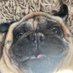 Alfie Deacon (@alfiedeaco56159) Twitter profile photo Alfie Deacon (@alfiedeaco56159) Twitter profile photo