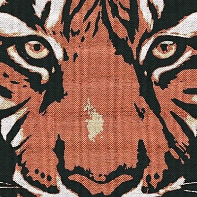 Shobhit_____raj's profile picture. Arise,Awake,and do not stop untill the goal is reached- "swami vivekananda "