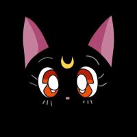 みみψ(⃔ •ω• )⃕↝ (@vvb_mm) 's Twitter Profile Photo