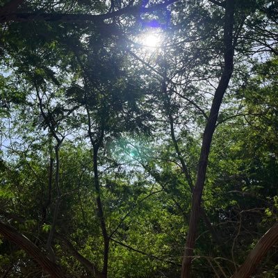 112lllll's profile picture. 