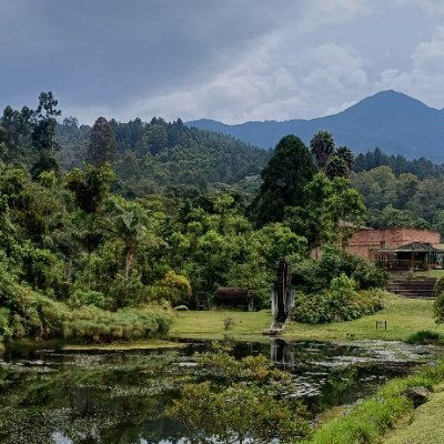 YoSiMePregunto's profile picture. 