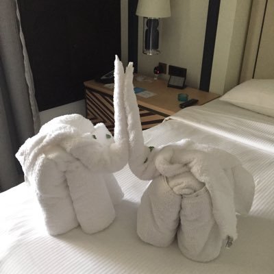 BRebschlager's profile picture. Achtung muß man sich verdienen im Leben und Beruf. Politisch interessiert!Von Beruf Feuerwehrmann und Feuermann 🖤💛🇩🇪🇫🇷🇮🇱🇵🇱🇺🇦🩵