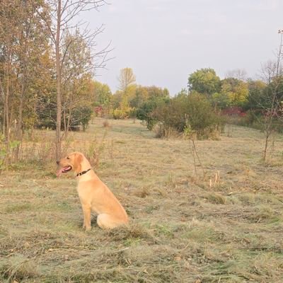 Nathan Peters Profile