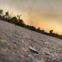 विश्वास त्रिपाठी (@brahmanvishwas) 's Twitter Profile