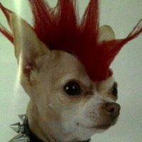 𝕸𝕷𝕮𝖆𝖓𝖎𝖌𝖌𝖎𝖆 (@caniggiang) 's Twitter Profile Photo 𝕸𝕷𝕮𝖆𝖓𝖎𝖌𝖌𝖎𝖆 (@caniggiang) 's Twitter Profile Photo