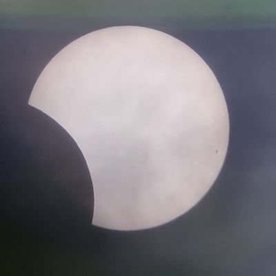 skulldog10's profile picture. UK