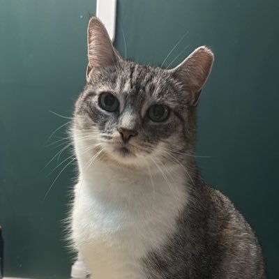 waelsrants's profile picture. Crypto marketing expert || Follow My Memecoin Calls Account @eaglecallx || DM To Join Telegram Group.