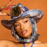 theestallion's profile picture. thee real Htown Hottie 😛