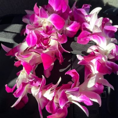 setomiakari's profile picture. 釣り好き。呟かなくて失礼します