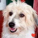 Steven Ojeda - @StephenVO2009 - Twitter