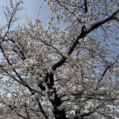 還暦越の皆様 日本🇯🇵の若い世代を守ろう!私たちは十分に戦後の平和を体験出来ました 次の世代に日本を残しましょう