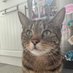 kady (@kadyispoopy) Twitter profile photo kady (@kadyispoopy) Twitter profile photo