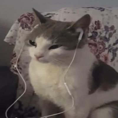 mar72316's profile picture. https://t.co/YntfZO48rM  ♥