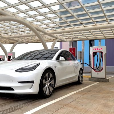 JeffWang134329's profile picture. Long term Tesla investor
