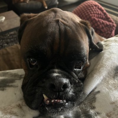 wgresa's profile picture. 