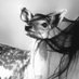 ★ (@ohhhdeer_) Twitter profile photo ★ (@ohhhdeer_) Twitter profile photo