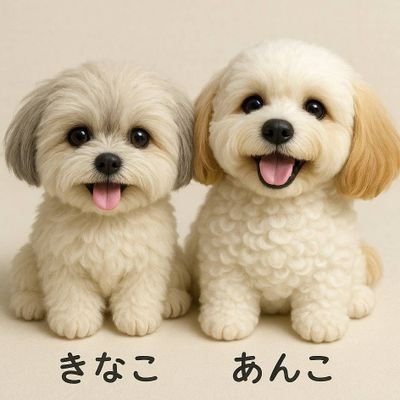WJhYZZb6jL69372's profile picture. キャンピングカーで犬と旅行生活を目標にFXを勉強中！そこでスキャトレふうた先生に出会えました。FX大学応援中です。
