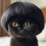 bubble_xow's profile picture. 