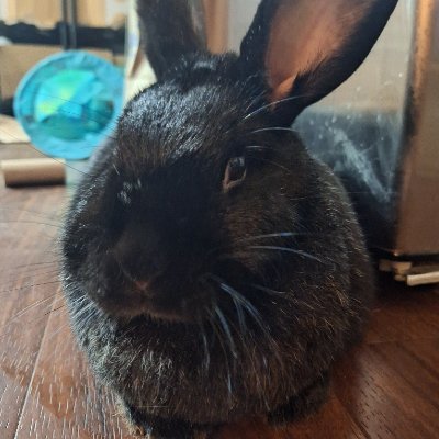 erica_lara1402's profile picture. 