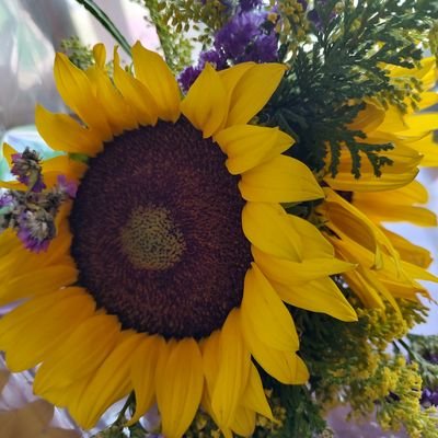 Tinishgirl's profile picture. 