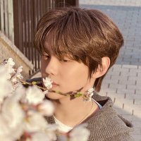 ๐๐๐ง๐ค๐จ๐ ๐โโฌ (@cstarlight7) 's Twitter Profile Photo ๐๐๐ง๐ค๐จ๐ ๐โโฌ (@cstarlight7) 's Twitter Profile Photo